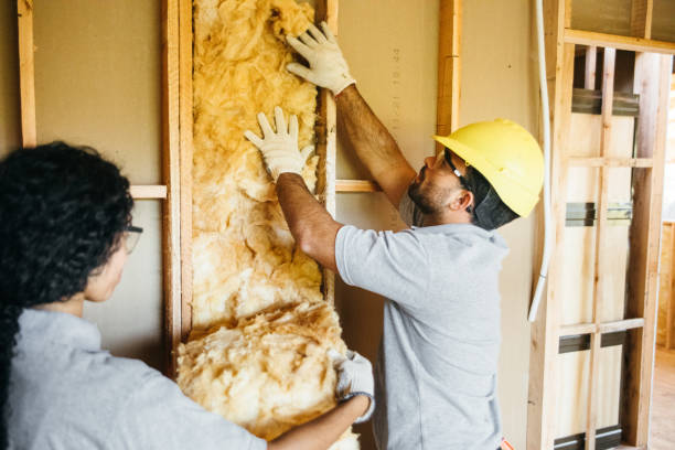 Insulation Inspection Services in Polson, MT